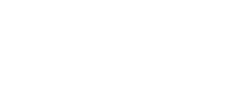 ParcelDealz Logo weiß